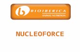 NUCLEOFORCE.  Nucleoforce es un concentrado bien balanceado de nucleotidos libres especificos de especie.  Provienen de los nutrientes esenciales para.