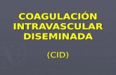 COAGULACIÓN INTRAVASCULAR DISEMINADA (CID). DEFINICIÓN Coagulación Intravascular Diseminada (CID), también llamada “coagulopatía por consumo”, es una.