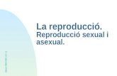 La reproducció. Reproducció sexual i asexual. Edició 2000-2001 (V1.1)