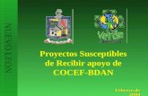 Febrero de 2008 NUEVO LEON Proyectos Susceptibles de Recibir apoyo de COCEF-BDAN.