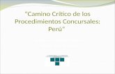 “Camino Crítico de los Procedimientos Concursales: Perú” Dr. Esteban Carbonell O’Brien contacto@carbonell-law.org.
