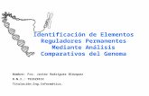 Identificación de Elementos Reguladores Permanentes Mediante Análisis Comparativos del Genoma Nombre: Fco. Javier Rodríguez Blázquez D.N.I.: 75152911C.