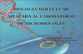 BIOLOGIA MOLECULAR APLICADA AL LABORATORIO DE MICROBIOLOGIA Dra Daniela Centrón Depto de Microbiología, Parasitología e Inmunología de la Facultad de.