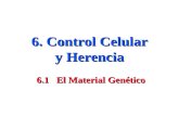 6. Control Celular y Herencia 6.1 El Material Genético.