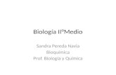 Biología II°Medio Sandra Pereda Navia Bioquímica Prof. Biología y Química.