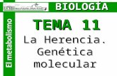 BIOLOGÍA El metabolismo TEMA 11 La Herencia. Genética molecular.