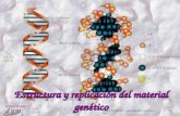 1 Dr. Antonio Barbadilla Tema 6: Estructura y replicación del material genético 1 Estructura y replicación del material genético.