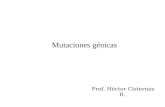 Mutaciones génicas Prof. Héctor Cisternas R.. Las mutaciones génicas (o moleculares) son las mutaciones que ocurren al alterar la secuencia de nucleótidos.