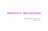 Genética Bacteriana Variabilidad genética Selección.