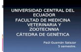 UNIVERSIDAD CENTRAL DEL ECUADOR FACULTAD DE MEDICINA VETERINARIA Y ZOOTECNNIA CÁTEDRA DE GENÉTICA Paúl Guamán Salazar 5 semestre.