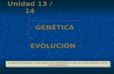 Unidad 13 / 14 GENÉTICA GENÉTICA EVOLUCIÓN EVOLUCIÓN GENÉTICA GENÉTICA EVOLUCIÓN EVOLUCIÓN EL PRESENTE MATERIAL ES UNA SÍNTESIS QUE NO REEMPLAZA, SINO.