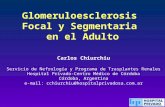 Glomeruloesclerosis Focal y Segmentaria en el Adulto Carlos Chiurchiu Servicio de Nefrología y Programa de Trasplantes Renales Hospital Privado-Centro.