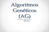 Algoritmos Genéticos (AG) Integrantes: Rubén Levineri Miguel Rozas Juan Yañez.