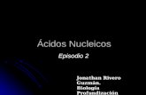 Ácidos Nucleicos Episodio 2 Jonathan Rivero Guzmán. Biología Profundización PRE-USM.