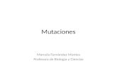 Mutaciones Marcela Fernández Montes Profesora de Biología y Ciencias.