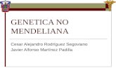 GENETICA NO MENDELIANA Cesar Alejandro Rodríguez Segoviano Javier Alfonso Martínez Padilla.