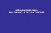 SEÑALES CELULARES. BIOLOGÍA DE LA CÉLULA TUMORAL.