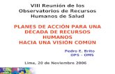 VIII Reunión de los Observatorios de Recursos Humanos de Salud PLANES DE ACCIÓN PARA UNA DÉCADA DE RECURSOS HUMANOS HACIA UNA VISIÓN COMÚN Pedro E. Brito.