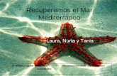 Recuperemos el Mar Mediterráneo Laura, Nuria y Tania El MediterráneoHechos sucedidos AcontecimientosSoluciones.