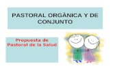 PASTORAL ORGÀNICA Y DE CONJUNTO Propuesta de Pastoral de la Salud.
