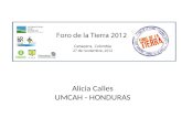 Alicia Calles UMCAH - HONDURAS Alta tasa de analfabetismo - Educación - Violencia Reducido acceso a la salud y trabajo Discriminació n en los espacios.