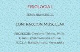 FISIOLOGIA I TEMA NUMERO 11 CONTRACCION MUSCULAR PROFESOR: Gregorio Tiskow, Ph.Sc. E-mail: gtiskow@ucla.edu.ve U.C.L.A. Barquisimeto, Venezuela.