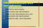 ORGANIZACION DEL NOTARIADO DISTRITO NOTARIAL COLEGIOS DE NOTARIOS JUNTA DE DECANOS DE LOS COLEGIOS DE NOTARIOS CONSEJO DEL NOTARIADO.