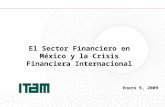 1 El Sector Financiero en México y la Crisis Financiera Internacional Enero 9, 2009.