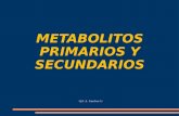METABOLITOS PRIMARIOS Y SECUNDARIOS Q.F. A. Sánchez U.