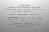 MODULO II SUSTRACCION INTERNACIONAL DE MENORES: EL PAPEL DE LA CONFERENCIA DE LA HAYA E INCADAT FRANCISCO JAVIER FORCADA MIRANDA REPRESENTANTE DE ESPAÑA.