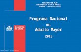 MINISTERIO DE SALUD SUBSECRETARIA DE SALUD PUBLICA DIPRECE - DPTO DE CICLO VITAL Programa Nacional DEL Adulto Mayor 2015 Gobierno de Chile | Ministerio.