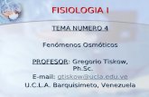 FISIOLOGIA I TEMA NUMERO 4 Fenómenos Osmóticos PROFESOR: Gregorio Tiskow, Ph.Sc. E-mail: gtiskow@ucla.edu.ve gtiskow@ucla.edu.ve U.C.L.A. Barquisimeto,