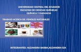 UNIVERSIDAD CENTRAL DEL ECUADOR FACULTAD DE CIENCIAS QUÍMICAS QUÍMICA Y FARMACIA TRABAJO ACERCA DE: FENOLES NATURALES INTEGRANTES: ALEJANDRA BARBA,ALEJANDRA.