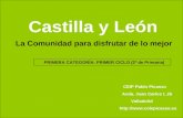 Castilla y León La Comunidad para disfrutar de lo mejor CEIP Pablo Picasso Avda. Juan Carlos I, 26 Valladolid  PRIMERA CATEGORÍA:
