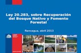 Ley 20.283, sobre Recuperación del Bosque Nativo y Fomento Forestal Rancagua, abril 2013.
