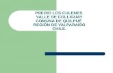 PREDIO LOS CULENES VALLE DE COLLIGUAY COMUNA DE QUILPUÉ REGIÓN DE VALPARAÍSO CHILE.