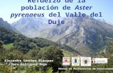 Refuerzo de la población de Aster pyrenaeus del Valle del Duje Alejandro Sánchez Blázquez Sara Rodríguez Rego Máster en Restauración de Ecosistemas.