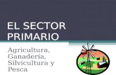 EL SECTOR PRIMARIO Agricultura, Ganadería, Silvicultura y Pesca.