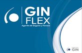 Quienes Somos… GinFlex es una compañía orientada al servicio. Contamos con una amplia red de socios comerciales con los cuales brindamos la mejor opción.