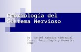 CLASE 10 - Embriología Del Sistema Nervioso