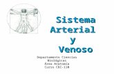 Clase_Sistema Arterial y Venoso_Anatomia