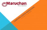 Maruchan PDF Final