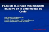 Papel de la cirugía minimamente invasiva en la enfermedad de Crohn Gijón, Octubre 2009 José Ignacio Rodríguez-García Sección Coloproctología Servicio Cirugía.