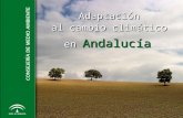 Adaptaci³n al cambio climtico Adaptaci³n al cambio climtico en Andaluc­a