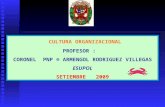 CULTURA ORGANIZACIONAL PROFESOR : CORONEL PNP ® ARMENGOL RODRIGUEZ VILLEGAS ESUPOL SETIEMBRE 2009.