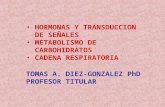 HORMONAS Y TRANSDUCCION DE SEÑALES METABOLISMO DE CARBOHIDRATOS CADENA RESPIRATORIA TOMAS A. DIEZ-GONZALEZ PhD PROFESOR TITULAR.