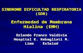 SINDROME DIFICULTAD RESPIRATORIA (SDR) Enfermedad de Membrana Hialina (EMH) Orlando Franco Valdivia Hospital E. Rebagliati M. Lima EsSalud.