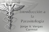 01 Introduccion a La Parasitologia (2)