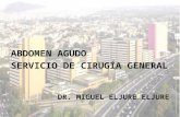 ABDOMEN AGUDO SERVICIO DE CIRUGÍA GENERAL DR. MIGUEL ELJURE ELJURE.
