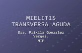 MIELITIS TRANSVERSA AGUDA Dra. Prixila Gonzalez Vargas. MIP.
